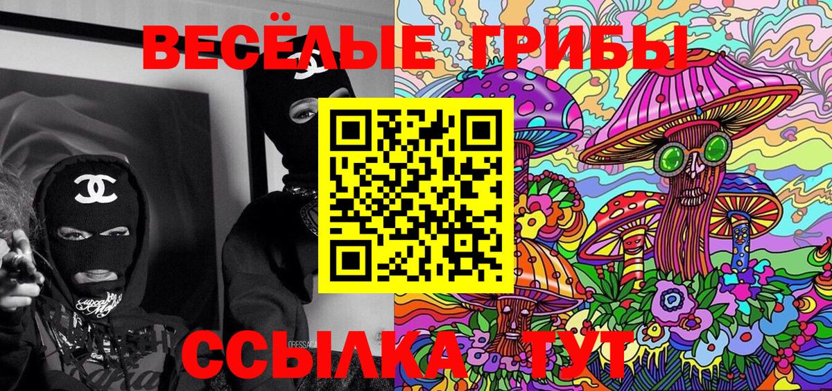 Псилоцибиновые грибы Cubensis Алушта