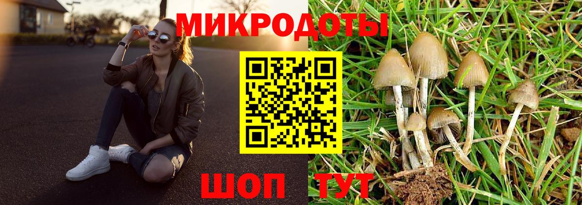 Галлюциногенные грибы Psilocybe  Псилоцибиновые грибы ЛСД  Вход с VPN  Алушта 